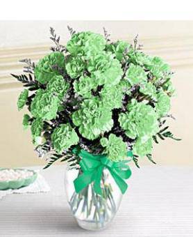 Dozen Green Carnations